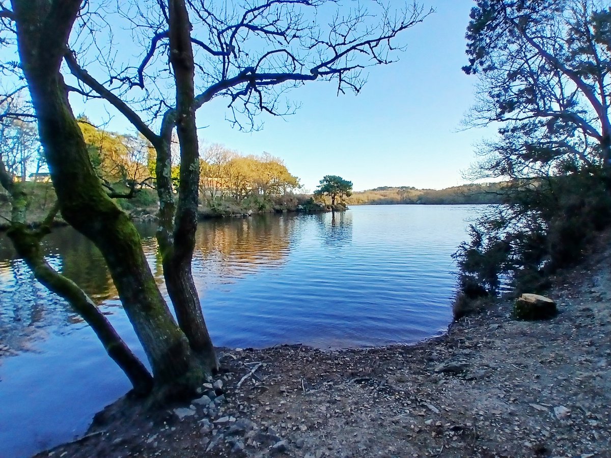 Valérie tweet media