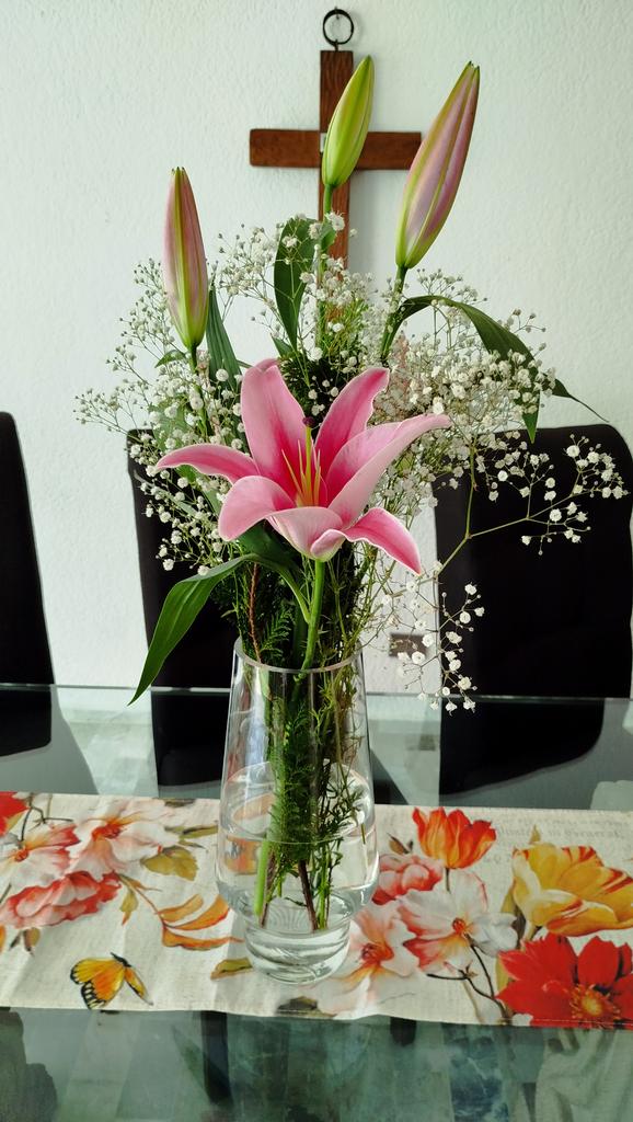 Jose Arias tweet media