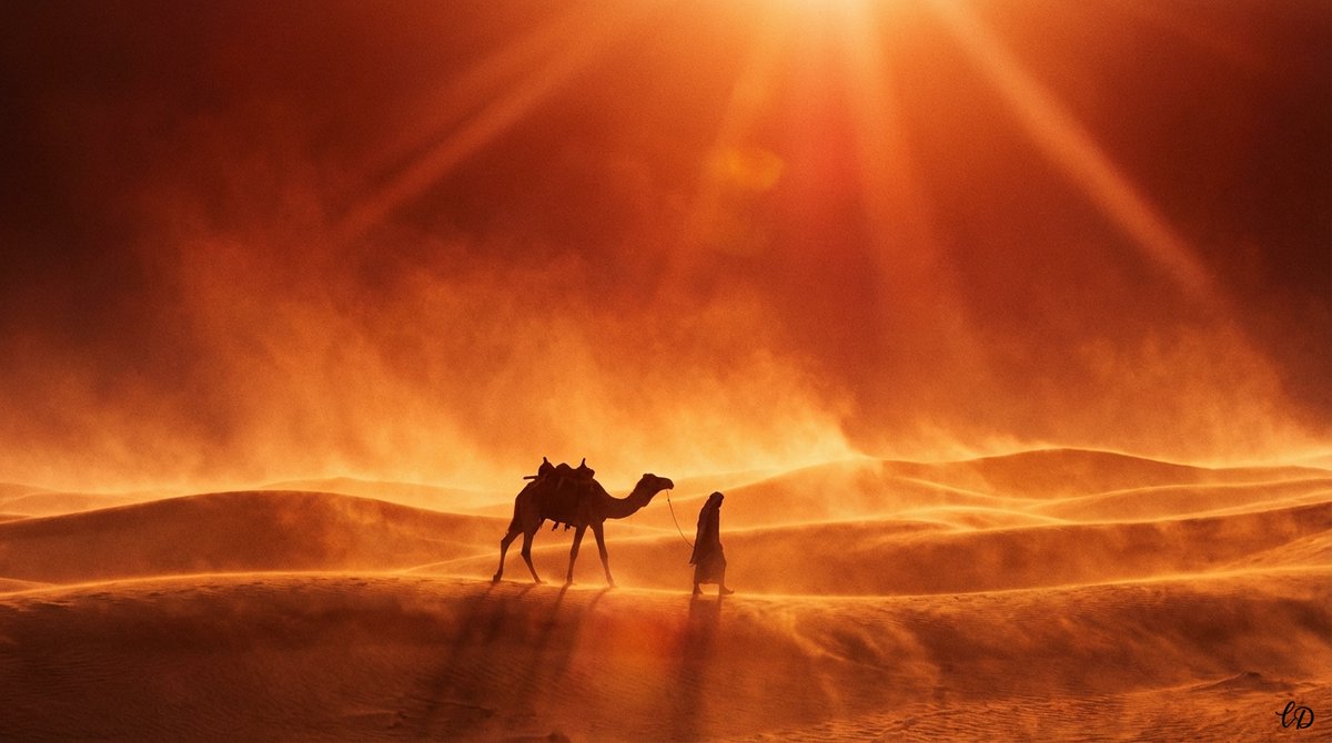 Lᴀᴄᴇ Dᴀᴇᴍᴏɴ tweet media