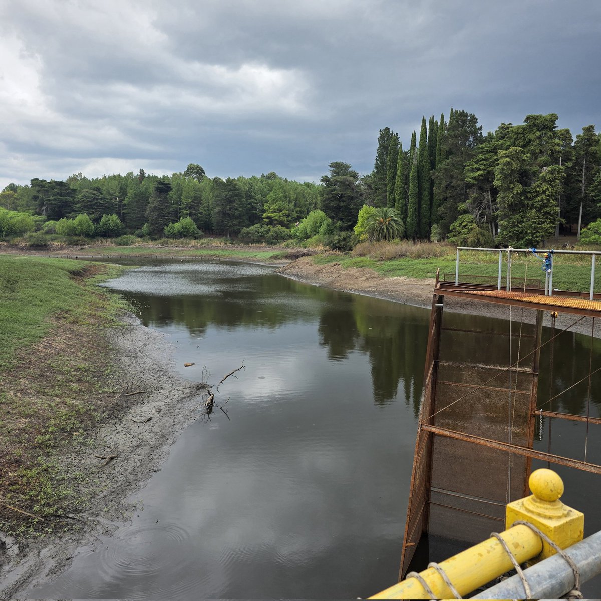Pablo Ferreri tweet media