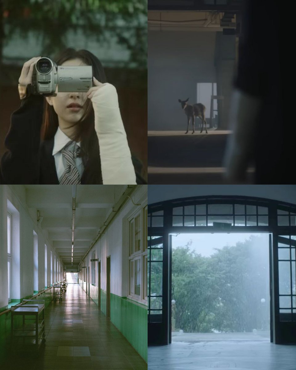 ℰ𝓊𝒶𝓁𝓁𝒶 🦋 tweet media