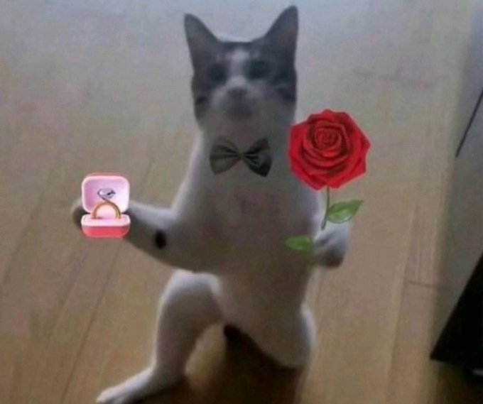 imole 🤡💥 |TAKER tweet media