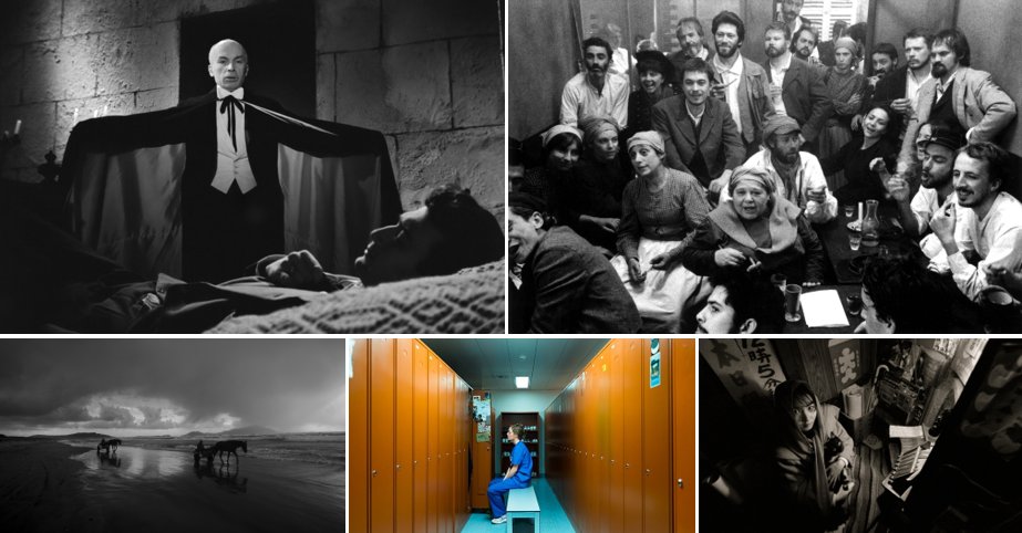 Cinematheque tweet media