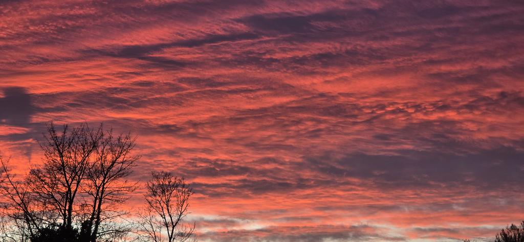 Matthew Rimmer tweet media