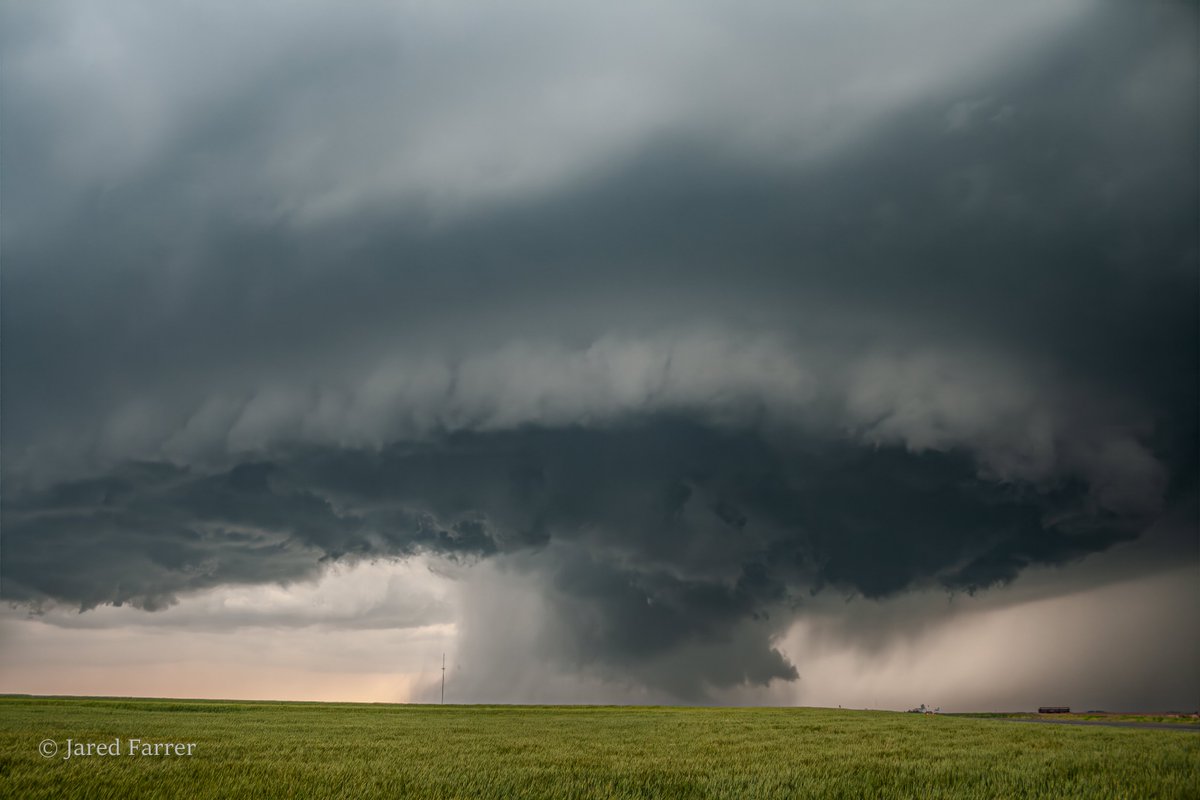 Jared Farrer tweet media