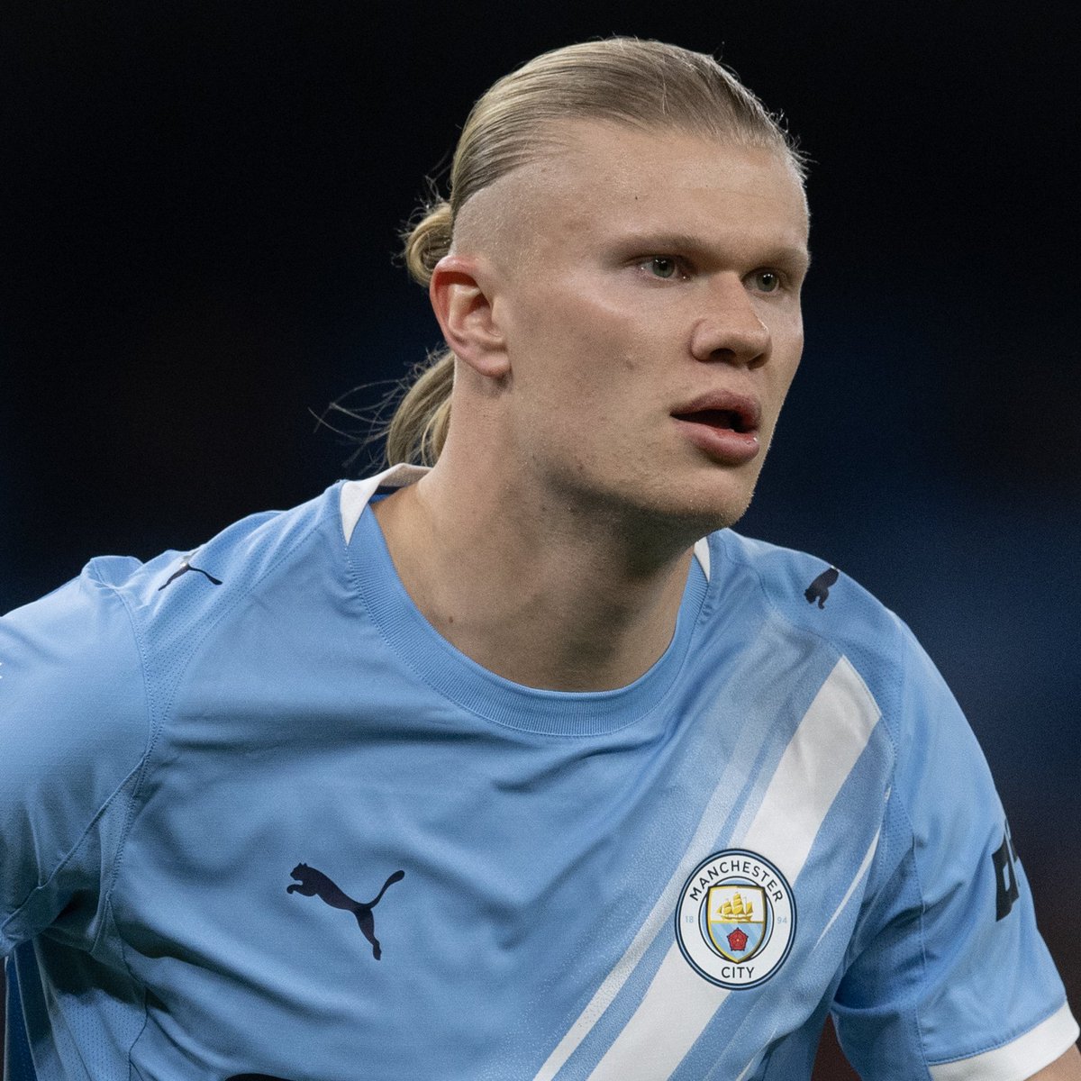 GOAL ZONE tweet media