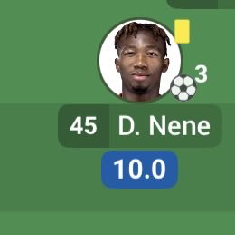 babita di marzio tweet media