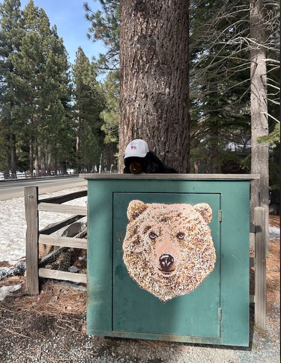 Meet Vox tweet media