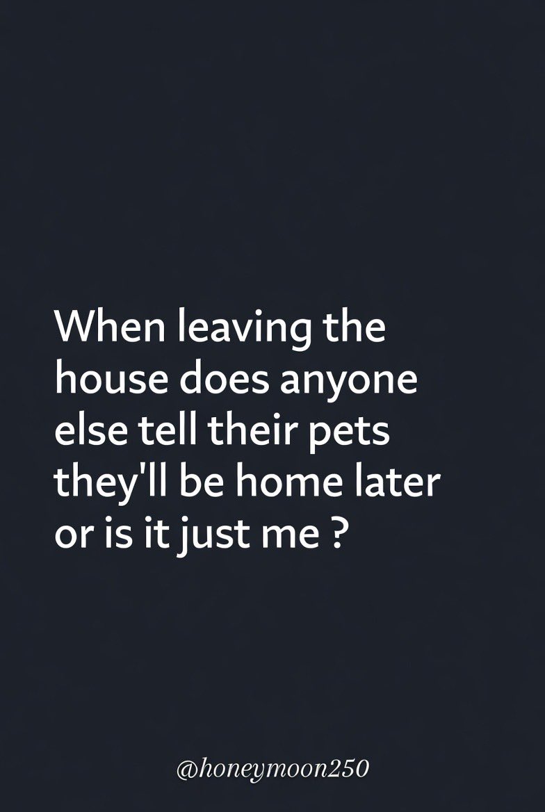 Honey 🛼 tweet media