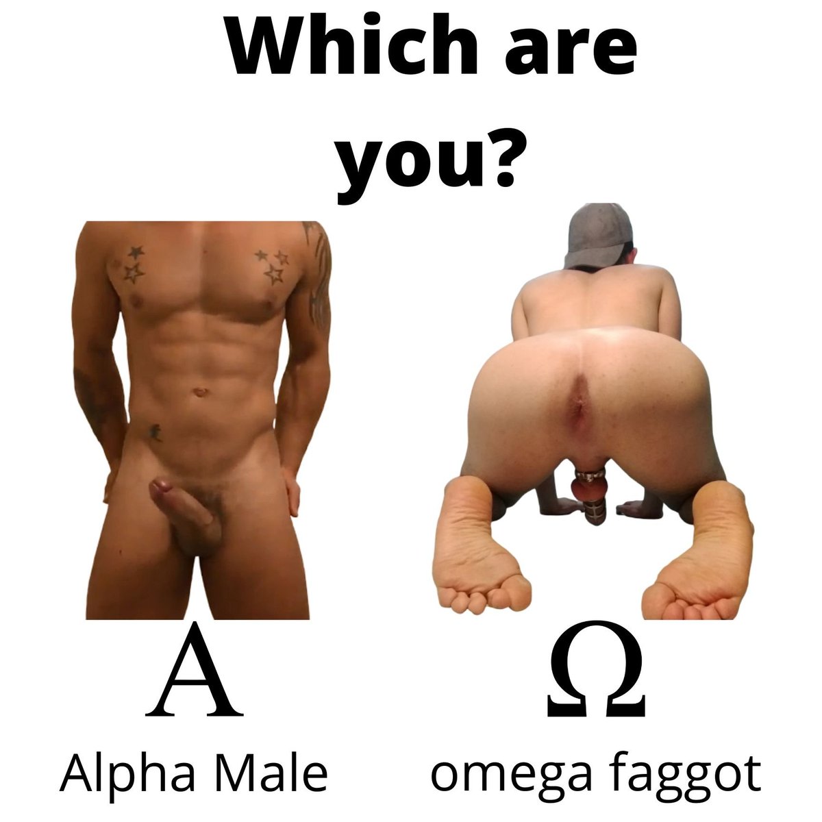 BEARWWW 🏳️🌈 tweet media