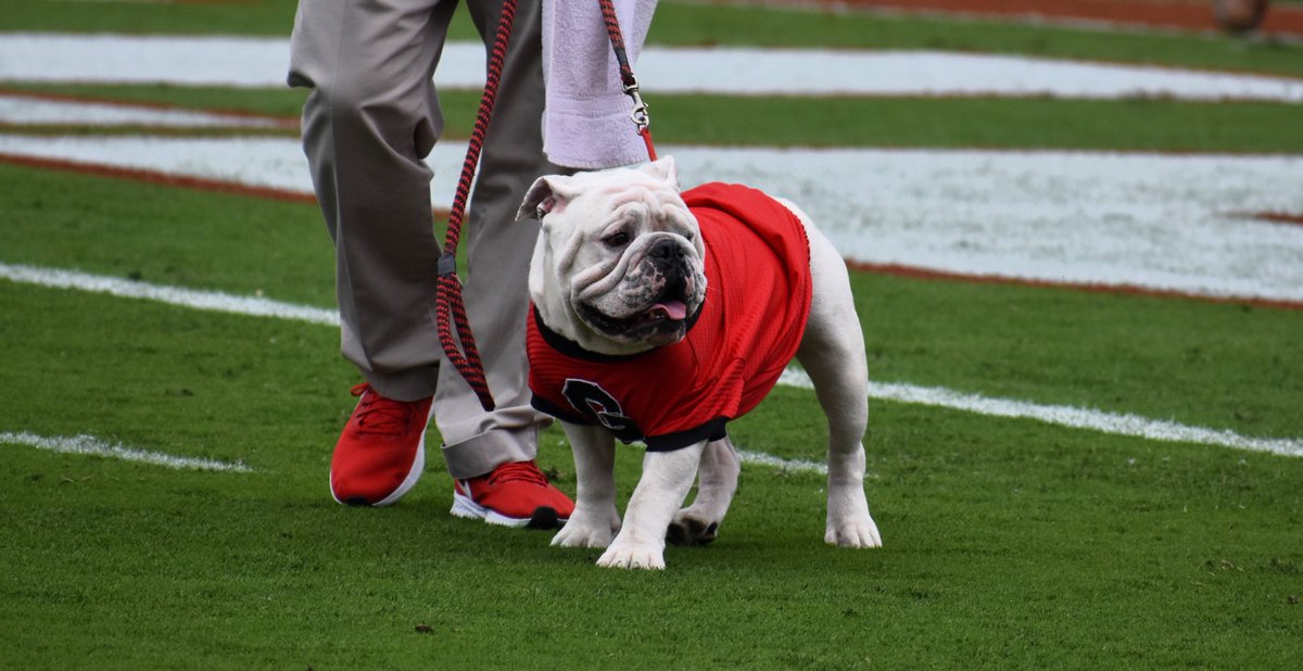 Rusty Mansell tweet media