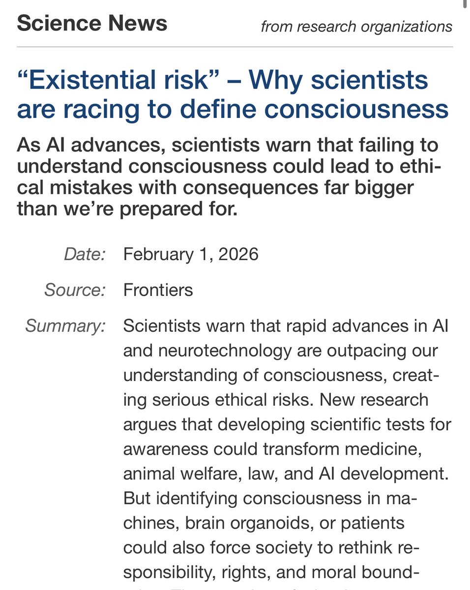 Selta ₊˚ tweet media