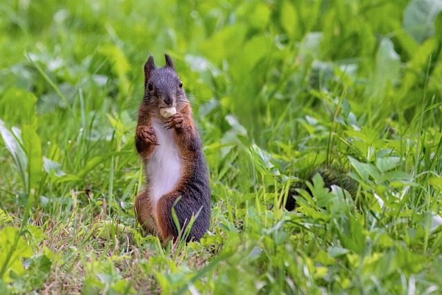 Jeff Knox tweet media