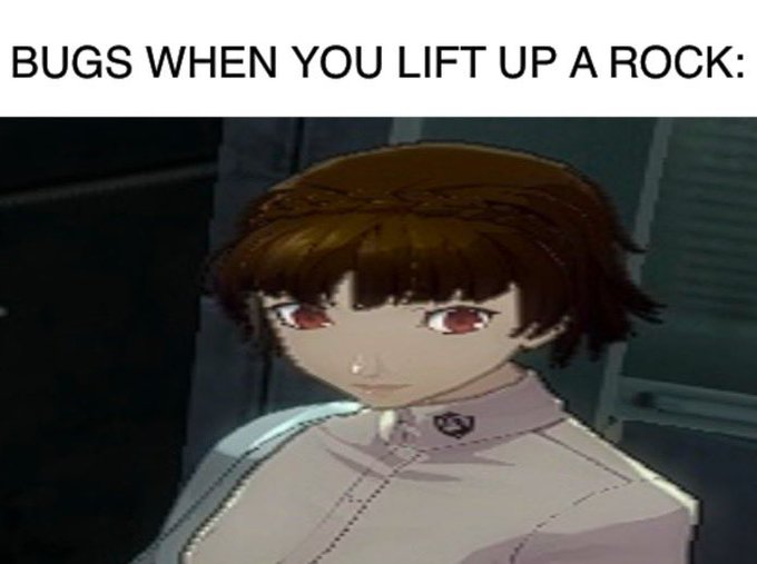 Rusher :) tweet media