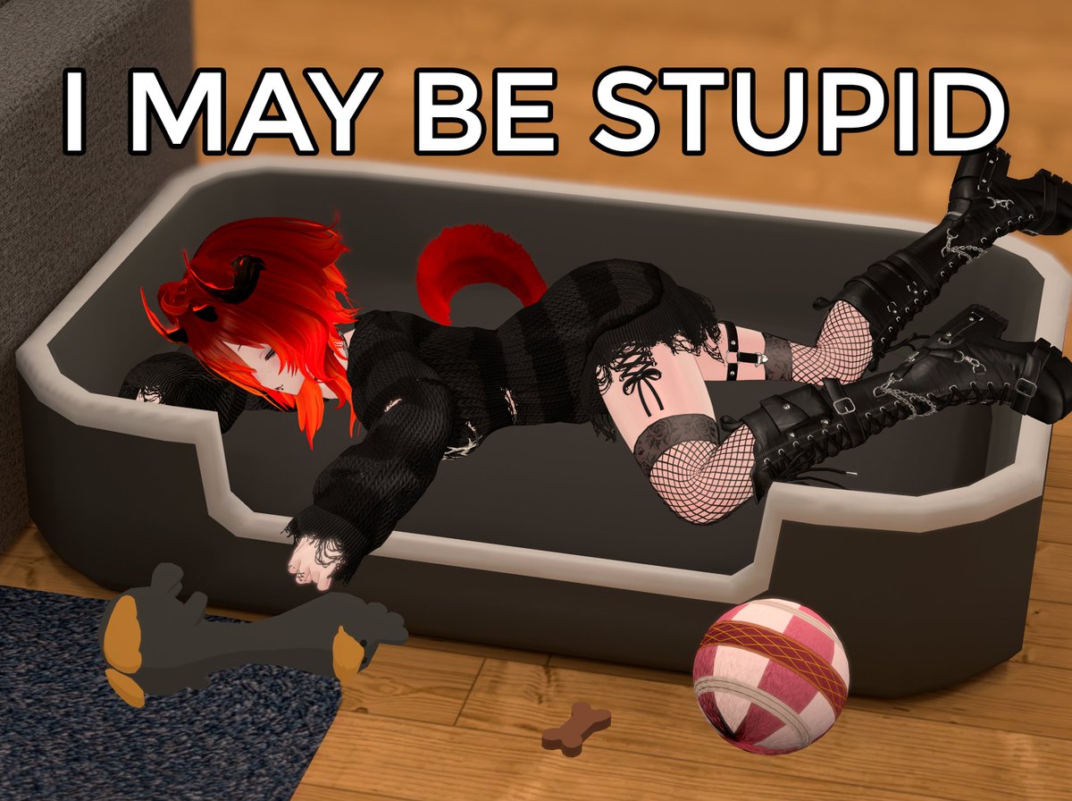 Zakkie 🐶🔥 tweet media