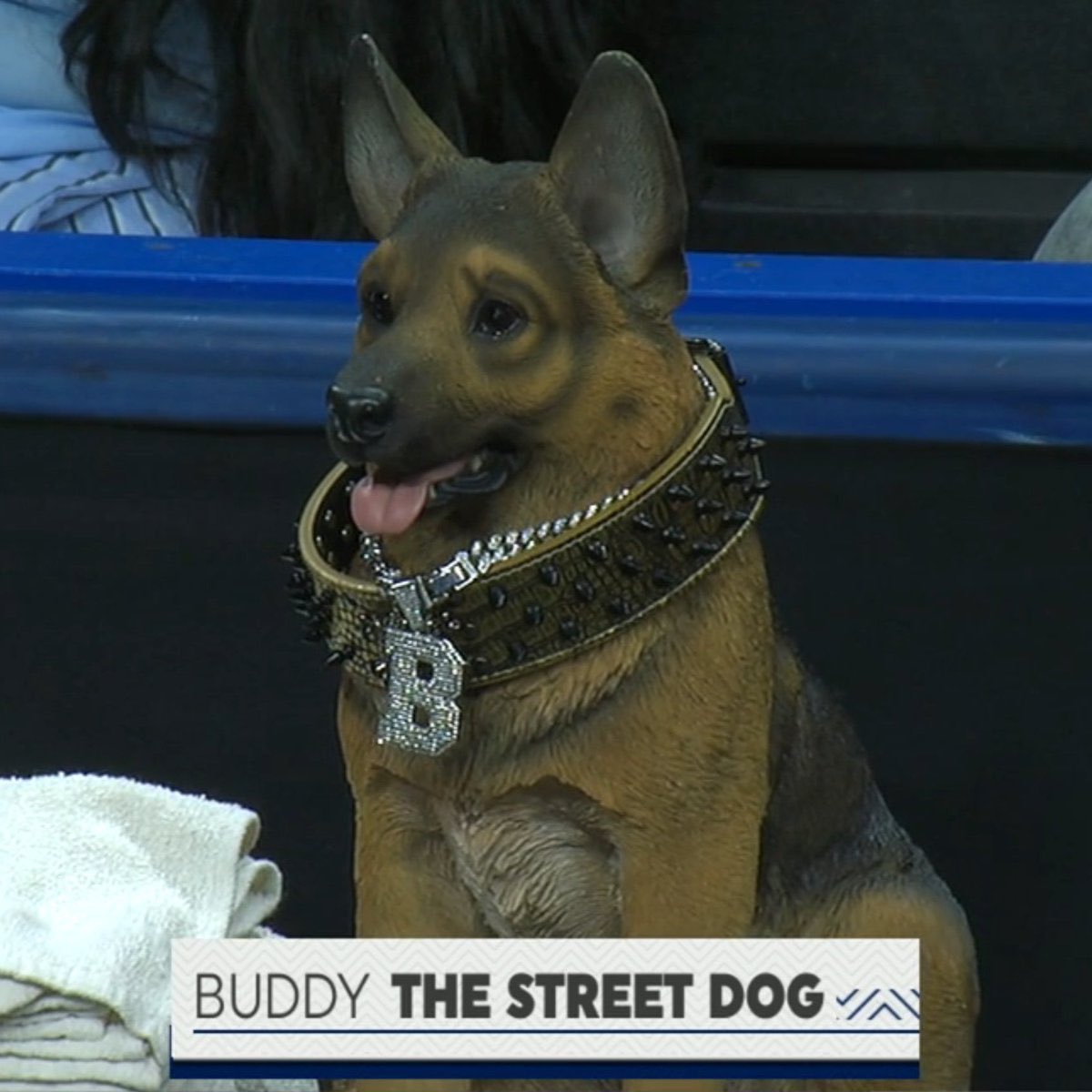 Barstool Queens tweet media