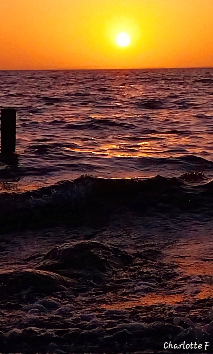 Charlotte tweet media