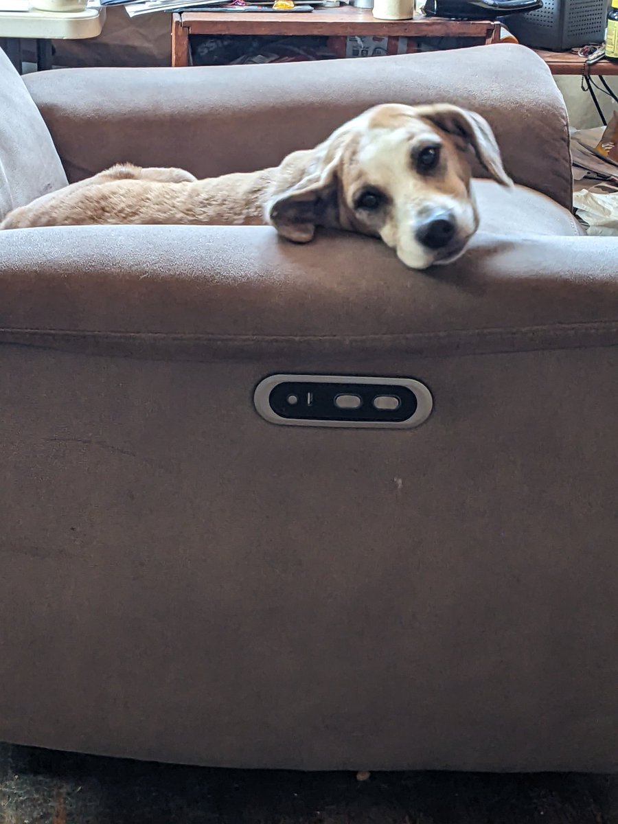 Donna Baugh tweet media