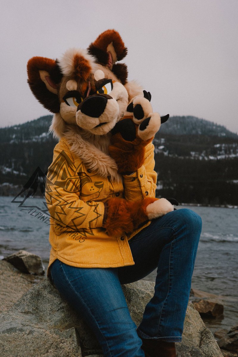 Angel 🎀 🔜 FE/LVFC tweet media