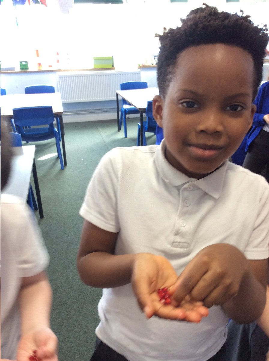 Beecroft Academy tweet media