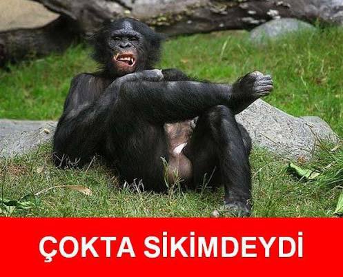 firminom7091's tweet photo. Nenenin hattrick 
#FBvGFK #Fenerbahce #FenerinMaçıVar https://t.co/wFajsExTem