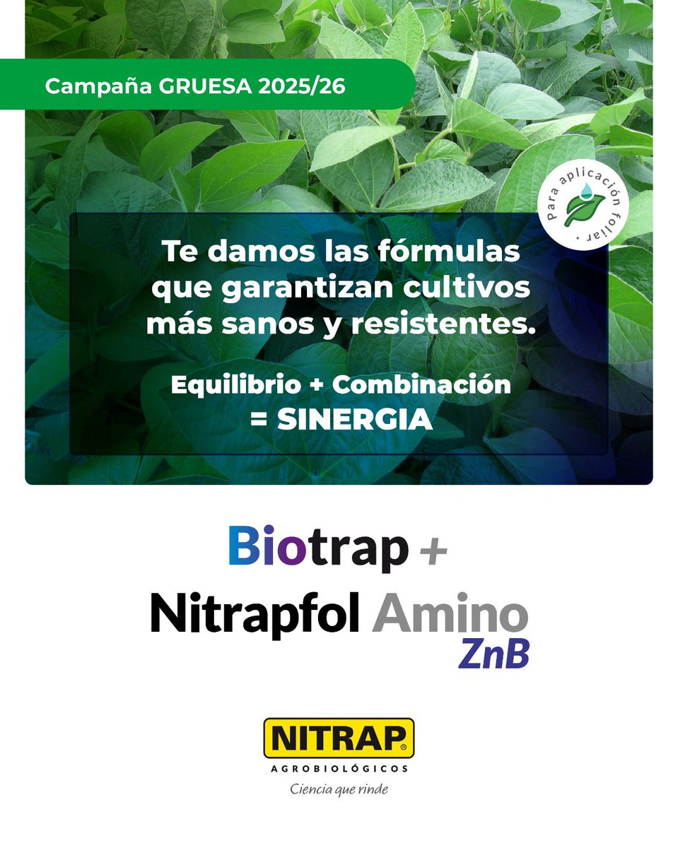 Nitrapagro's tweet photo. Equilibrio + combinación = mejores cultivos 🌱

Con Biotrap + Nitrapfol Amino ZnB potenciás la sanidad y la respuesta del cultivo. 

👉 Consultá con tu asesor o distribuidor.

Nitrap Agrobiológicos
Ciencia que rinde https://t.co/I7gitdN4My