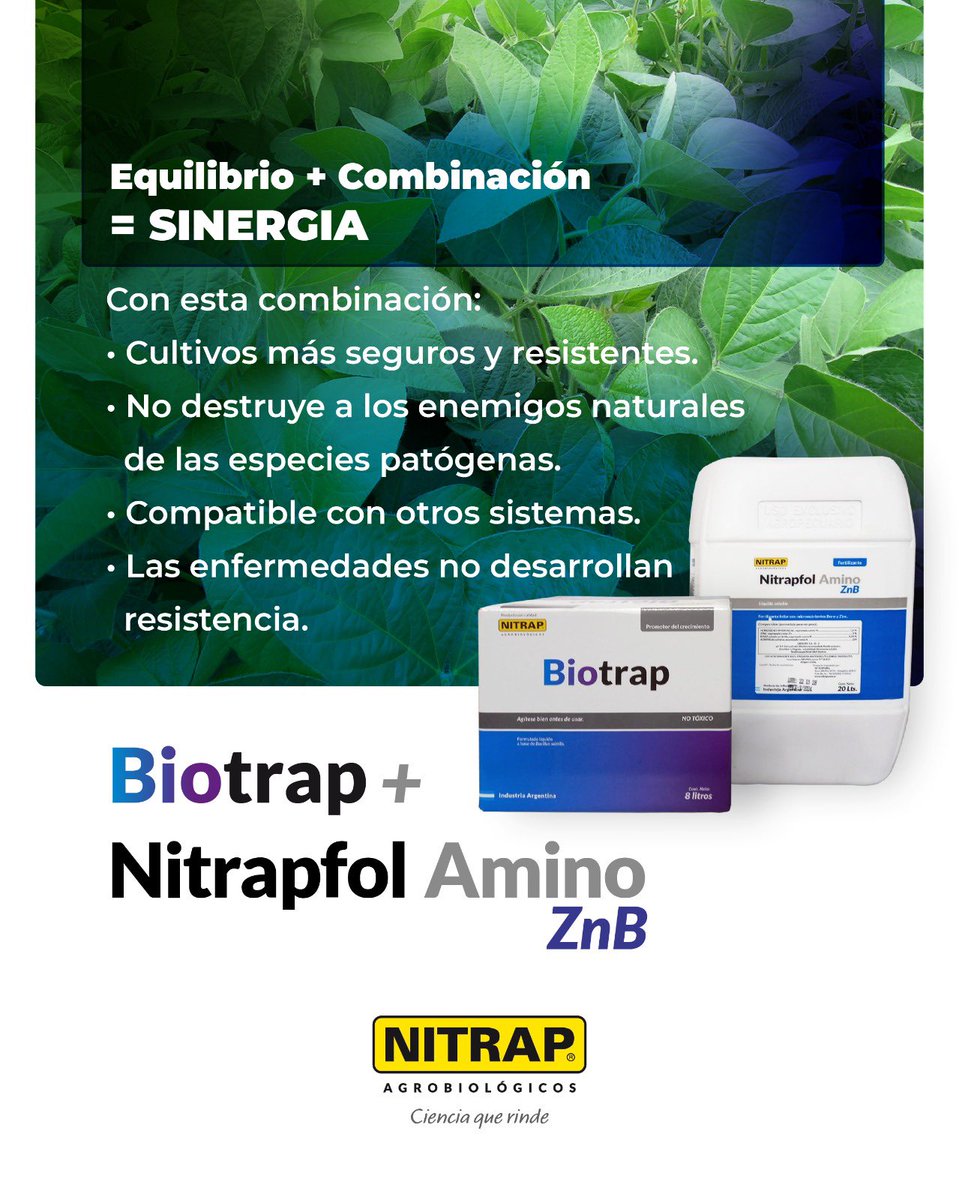 Nitrapagro's tweet photo. Equilibrio + combinación = mejores cultivos 🌱

Con Biotrap + Nitrapfol Amino ZnB potenciás la sanidad y la respuesta del cultivo. 

👉 Consultá con tu asesor o distribuidor.

Nitrap Agrobiológicos
Ciencia que rinde https://t.co/I7gitdN4My