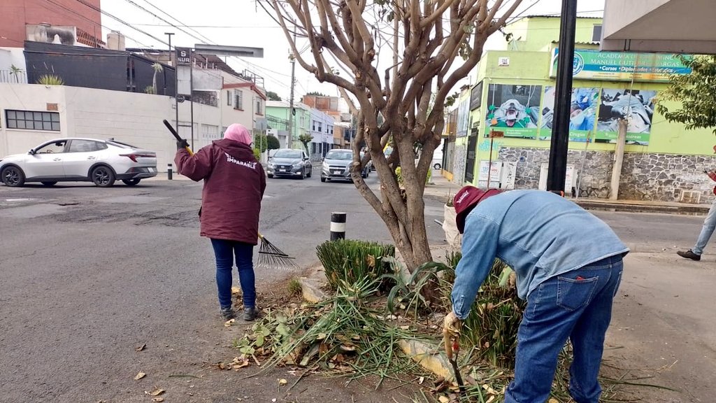 Servicios_Pub's tweet photo. El Gobierno de la Ciudad encabezado por @pepechedrauimx trabaja con dedicación para que cada zona de la capital sea amigable. Las y los colonos merecen espacios dignos.

La Colonia #GabrielPastor ya luce diferente 🏘️✨realizamos: poda, mantenimiento y limpieza. 🛠️🌿✂️ https://t.co/X5wLW467qr