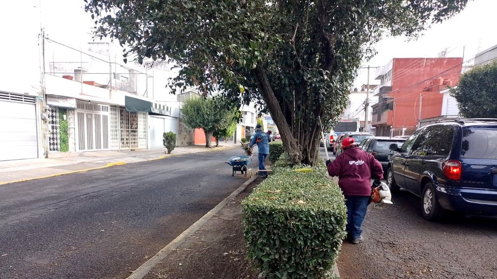 Servicios_Pub's tweet photo. El Gobierno de la Ciudad encabezado por @pepechedrauimx trabaja con dedicación para que cada zona de la capital sea amigable. Las y los colonos merecen espacios dignos.

La Colonia #GabrielPastor ya luce diferente 🏘️✨realizamos: poda, mantenimiento y limpieza. 🛠️🌿✂️ https://t.co/X5wLW467qr