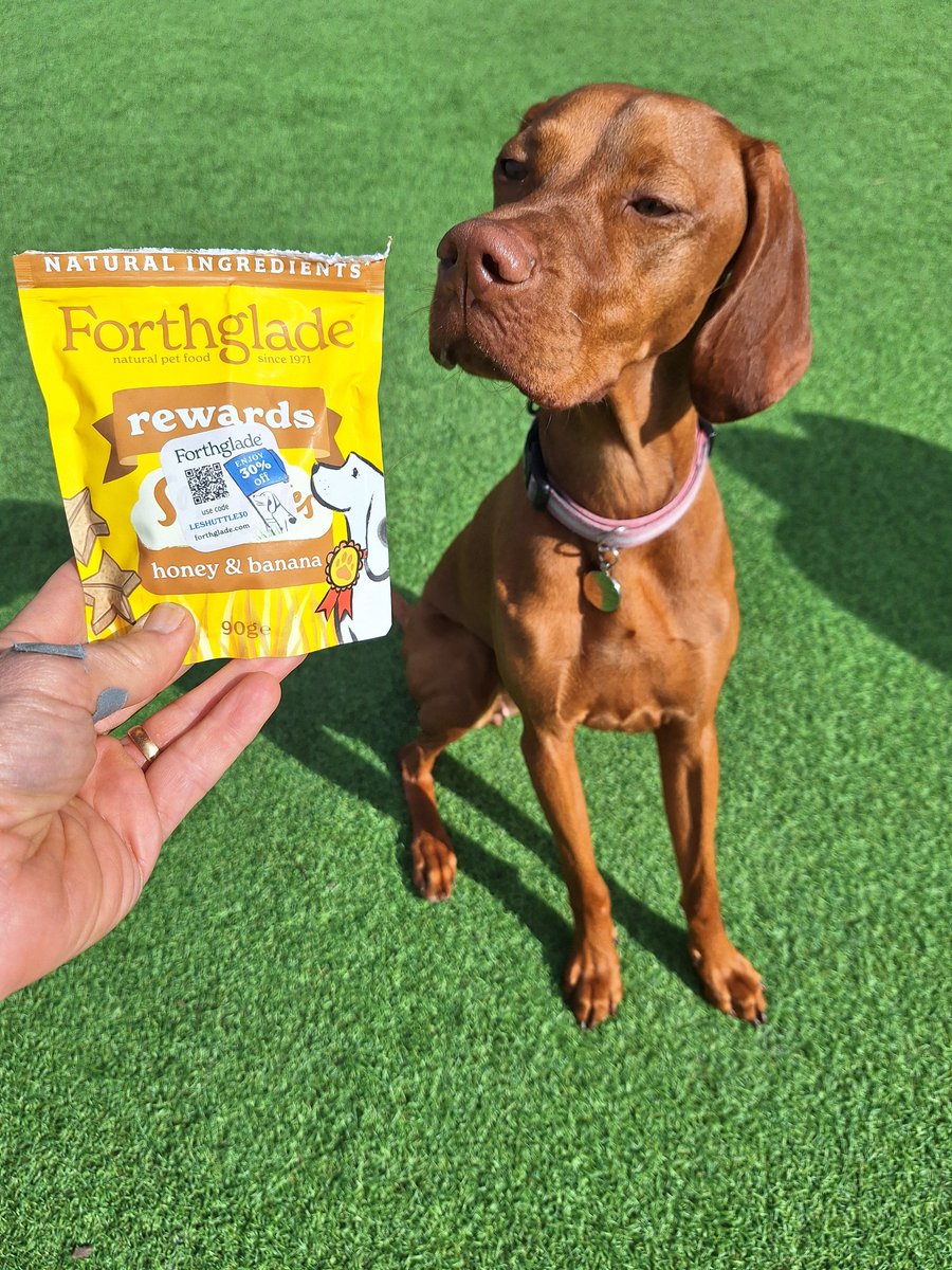 Skipedia.co.uk tweet media