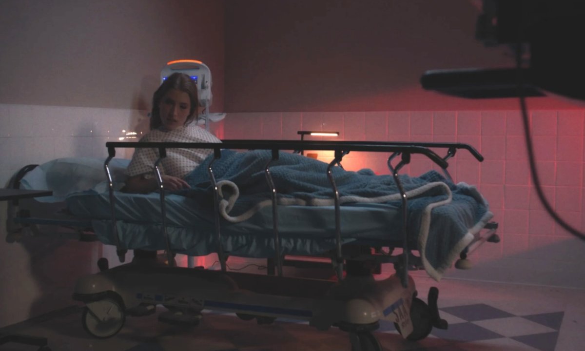 AVN Media Network tweet media