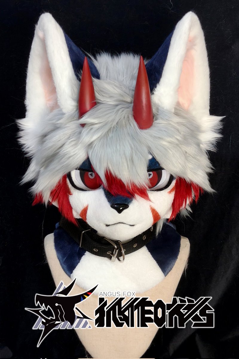 🦊_Angus tweet media