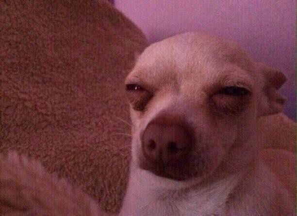 Cornelius♦️ tweet media