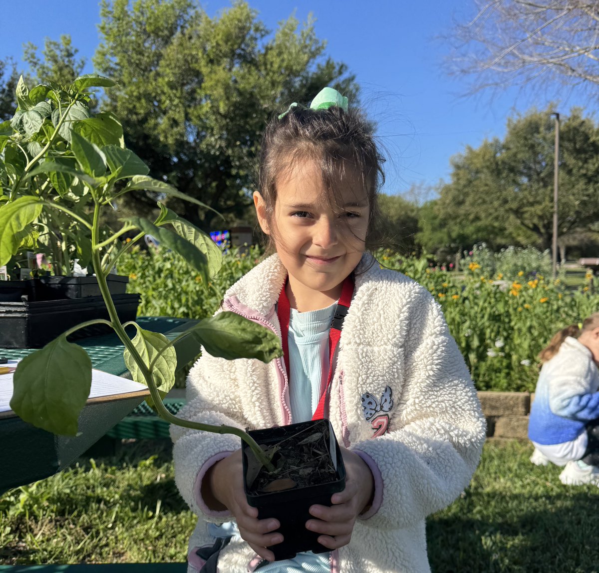 Maria Paoli-Vega tweet media