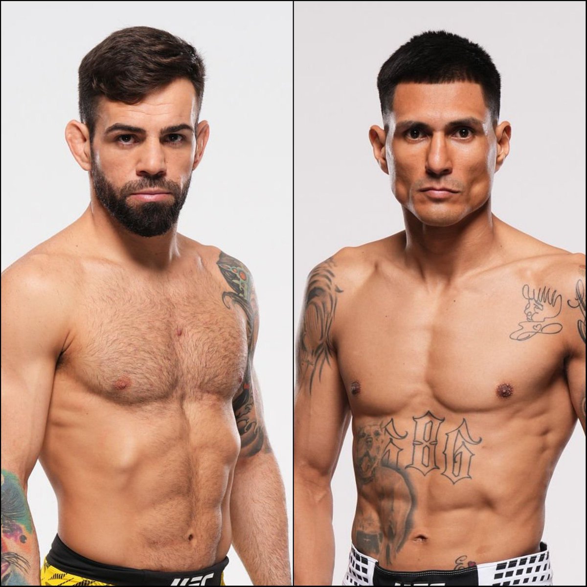 MmapunhodeFerro's tweet photo. 🚨UFCVegas118🚨🚨

Bruno Silva (#15) já tem uma nova luta reservada! O brasileiro enfrenta Édgar Cháirez (NR) no #UFCVegas118 em 6 de junho. @BigMarcel24 https://t.co/Ro5Vjc4IBk