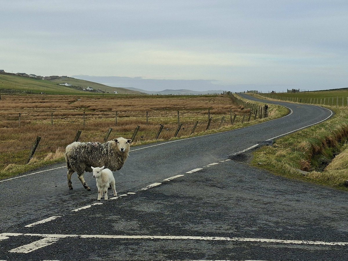 Catherine Munro tweet media