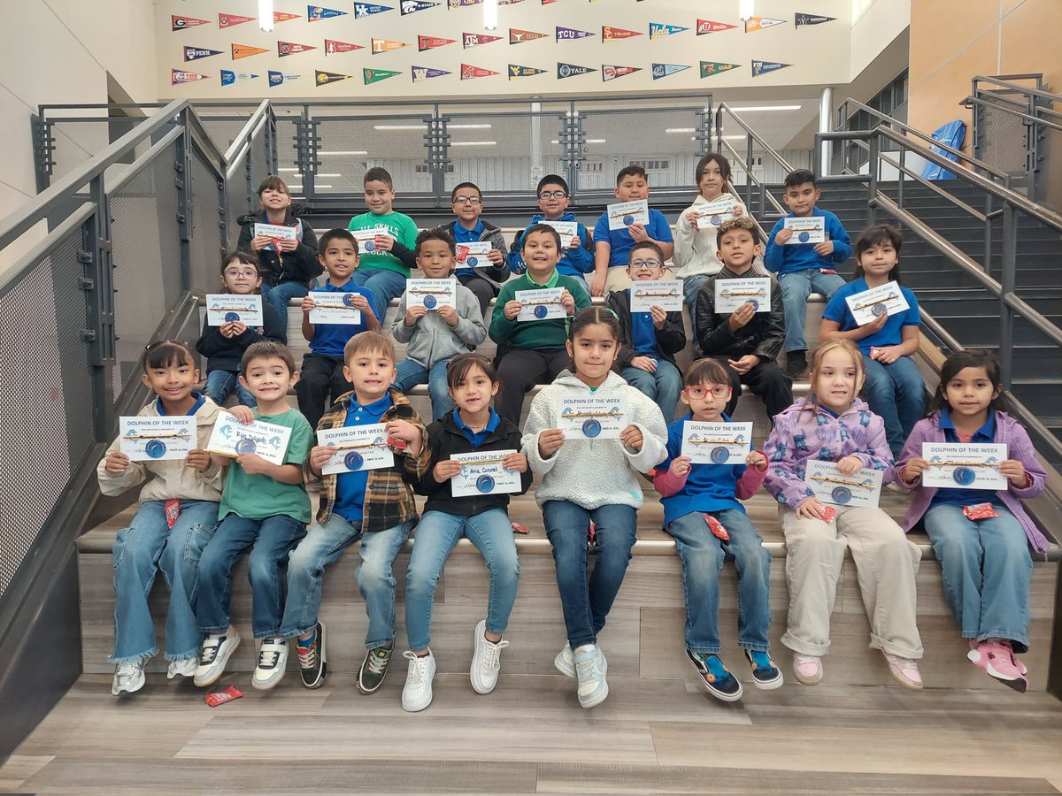 Dolphin Terrace ES tweet media