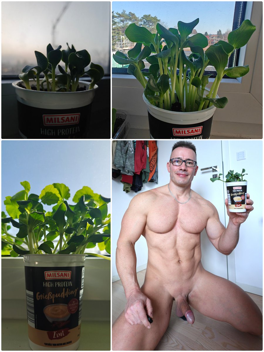 🇩🇪pussy😽bunny🐰🌱🇺🇦 tweet media