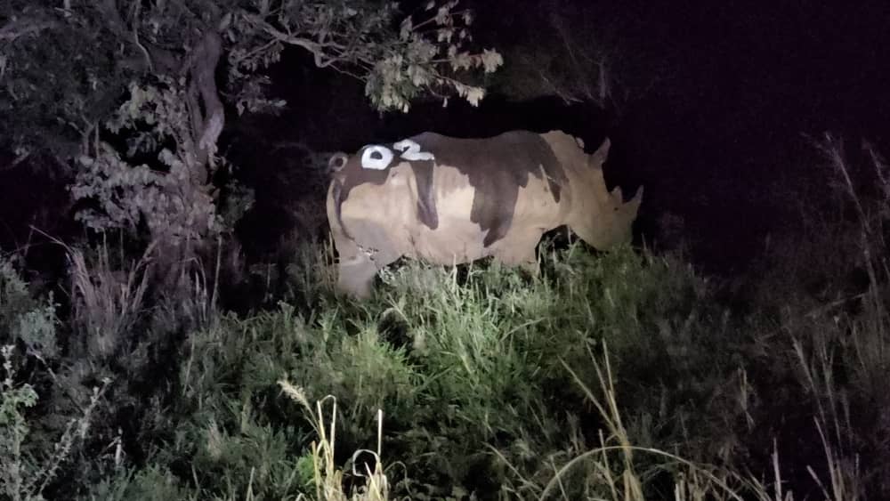 Babie Jacquie Penny tweet media