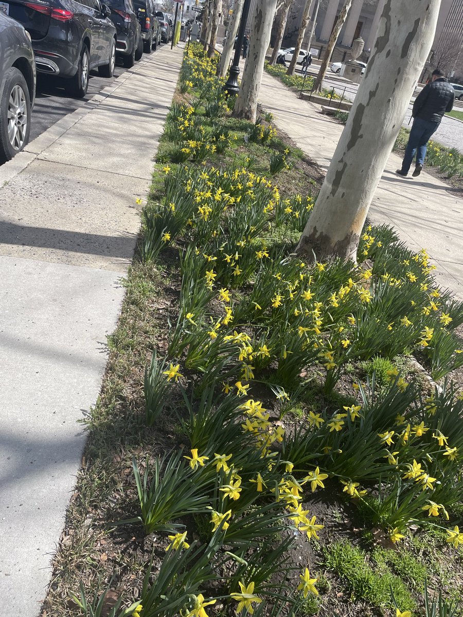 Mike Hellgren tweet media