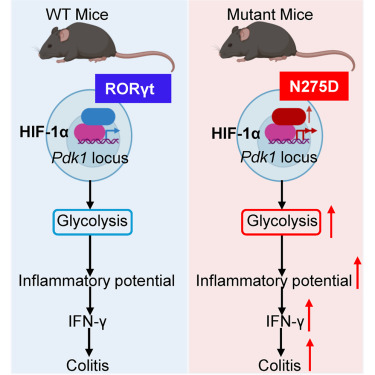 Waggoner Lab tweet media