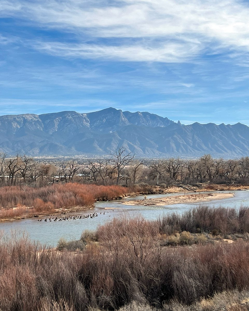 Jeff Blaylock tweet media