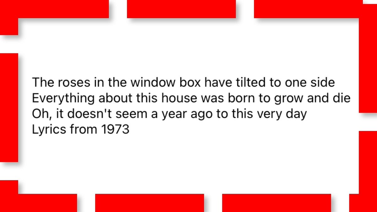 USA Trump Man 🇺🇸🇺🇸🇺🇸🇺🇸🇺🇸🇺🇸🇺🇸🇺🇸 tweet media