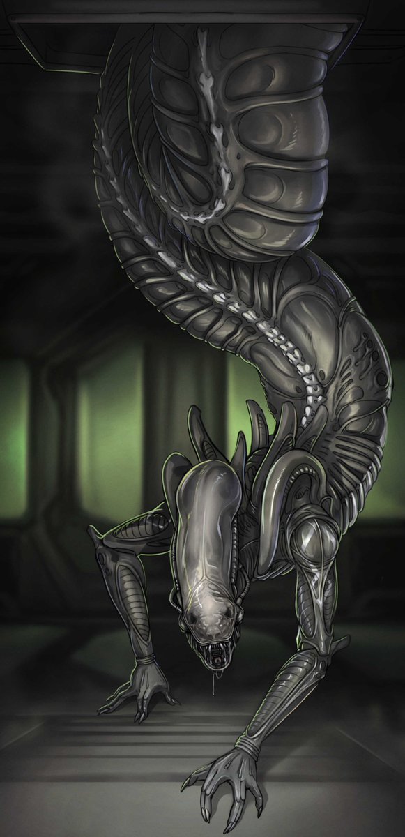 Synderth 🐍 tweet media