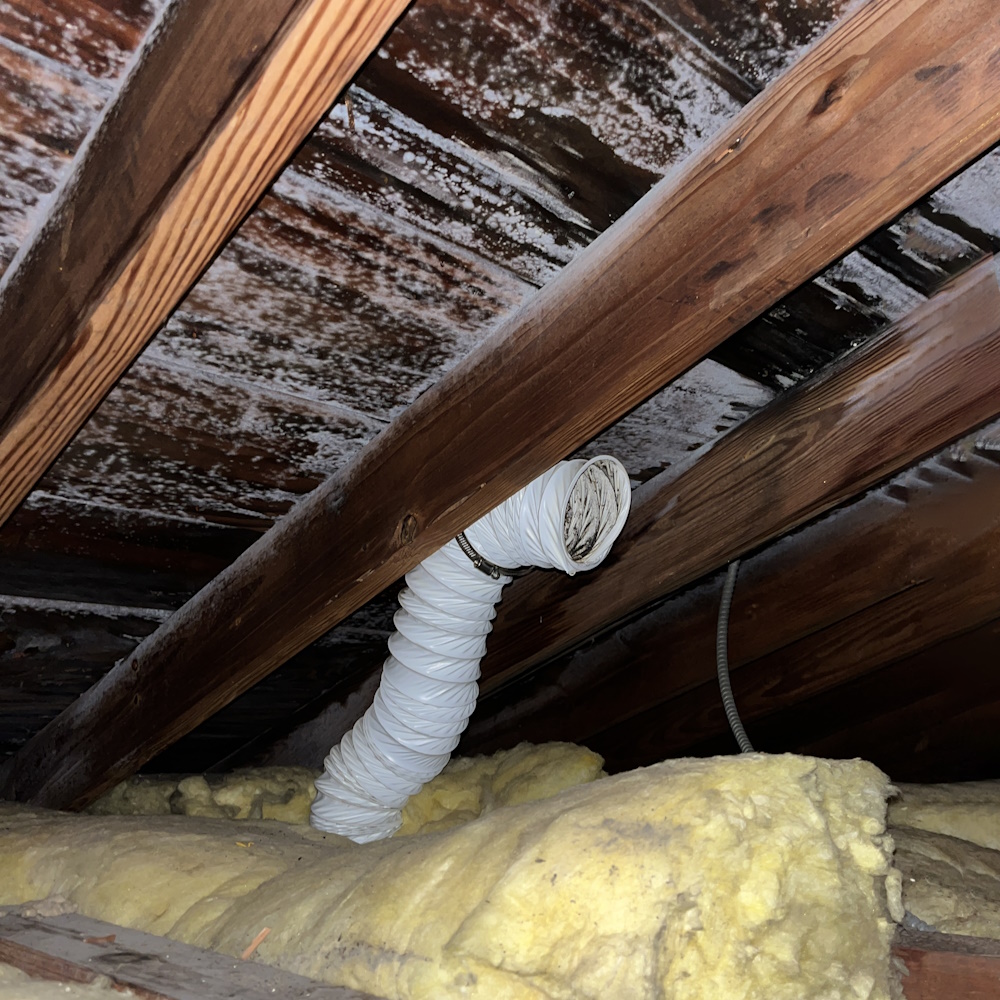 disasterblaster tweet media