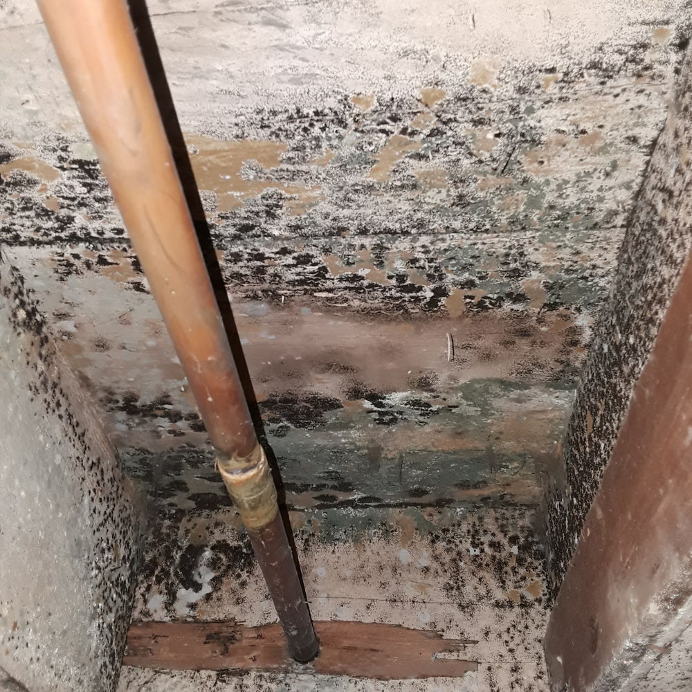 disasterblaster tweet media