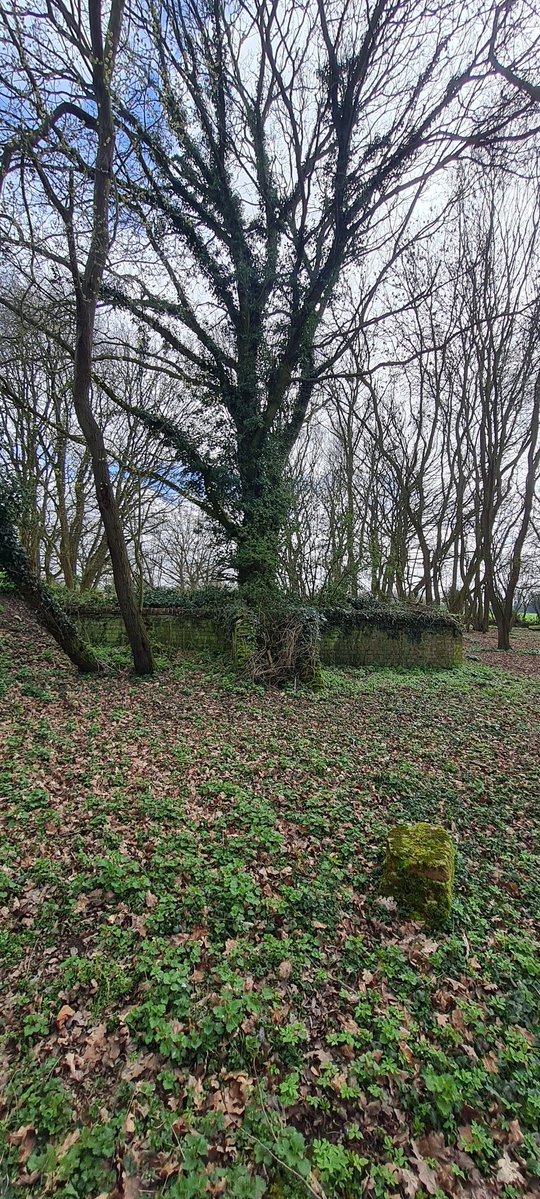 The Mighty Eighth Podcast tweet media