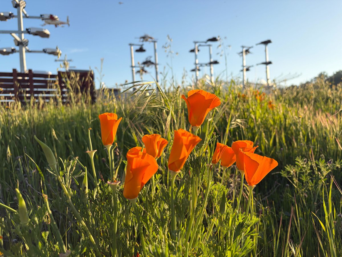 Keller Cliffton tweet media