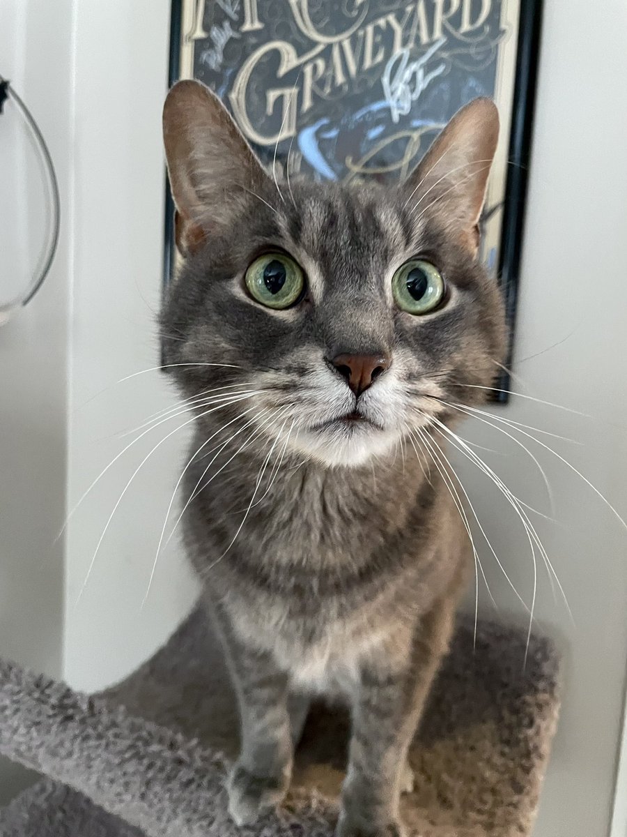 Ruby Rapture 🦋 tweet media