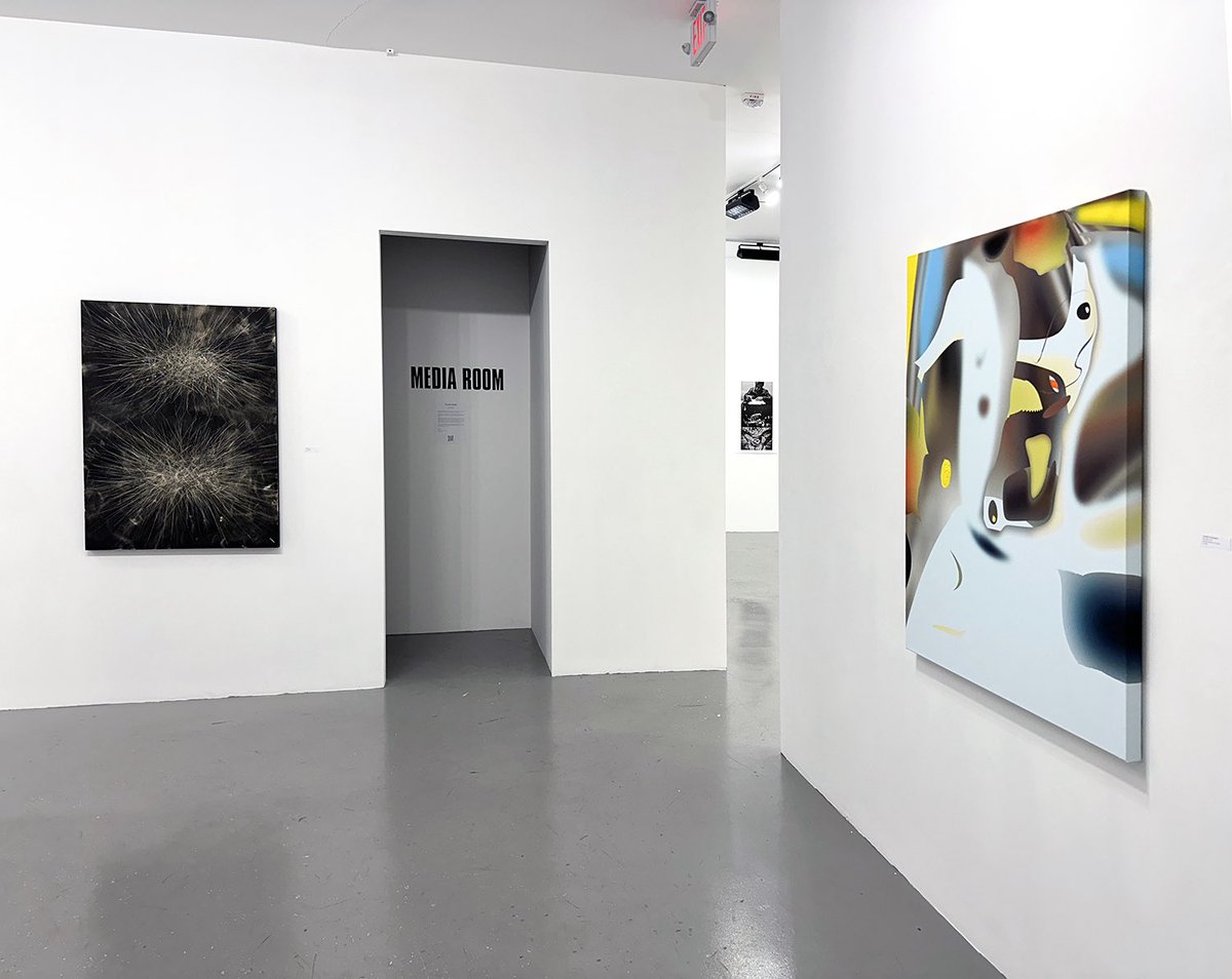 Bruno David Gallery tweet media